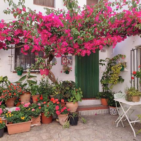 La Buganvilla De Juana Y Antonio กาซาเรส ภายนอก รูปภาพ