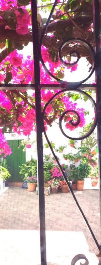 La Buganvilla De Juana Y Antonio กาซาเรส ภายนอก รูปภาพ