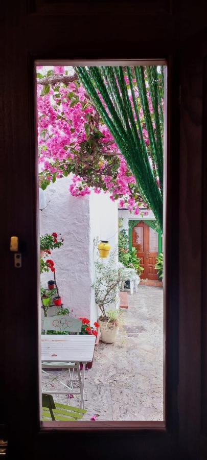 La Buganvilla De Juana Y Antonio กาซาเรส ภายนอก รูปภาพ