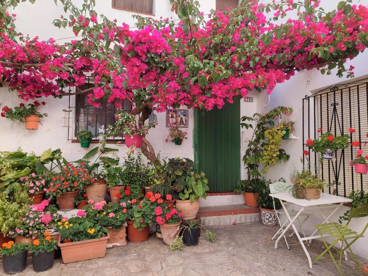 La Buganvilla De Juana Y Antonio กาซาเรส ภายนอก รูปภาพ